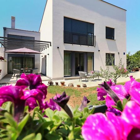 Papillon I Dolce Vita Tar-Vabriga Екстер'єр фото